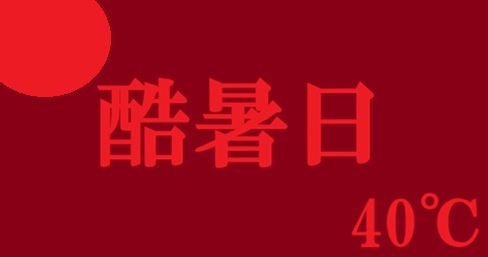 image-7/thumbnail10.jpg